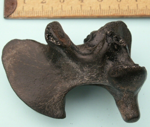 &copy; Thijs de Boer